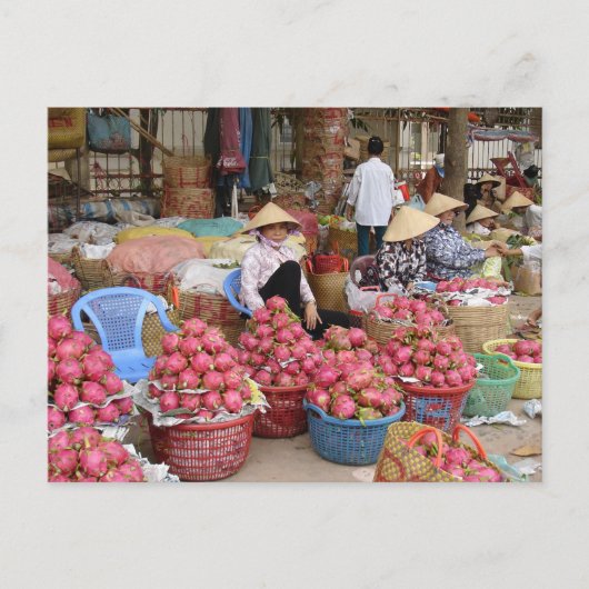 Carte Postale Fruit dragon à vendre (Devant)