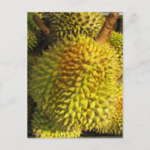 Carte Postale Fruit du durian (Devant)