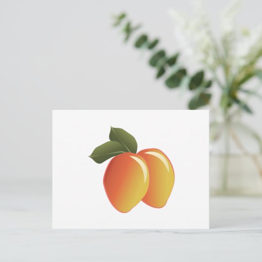 Carte Postale Fruit Mango (Debout devant)