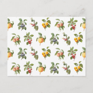 Carte Postale fruits botaniques vintages modernes