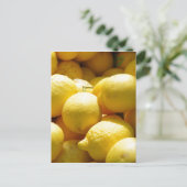 Carte Postale Fruits : Citrons (Debout devant)