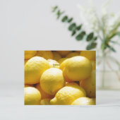 Carte Postale Fruits : Citrons (Debout devant)