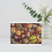 Carte Postale Fruits d'automne (Debout devant)