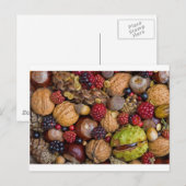 Carte Postale Fruits d'automne (Devant / Derrière)