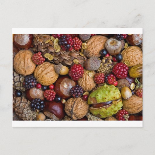 Carte Postale Fruits d'automne (Devant)