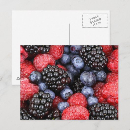 Carte postale Fruits de forêt (Devant / Derrière)