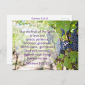 Carte Postale Fruits de l'Esprit Bible Verse (Devant / Derrière)