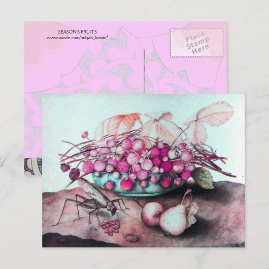 CARTE POSTALE FRUITS DE SAISON 3 (Devant / Derrière)