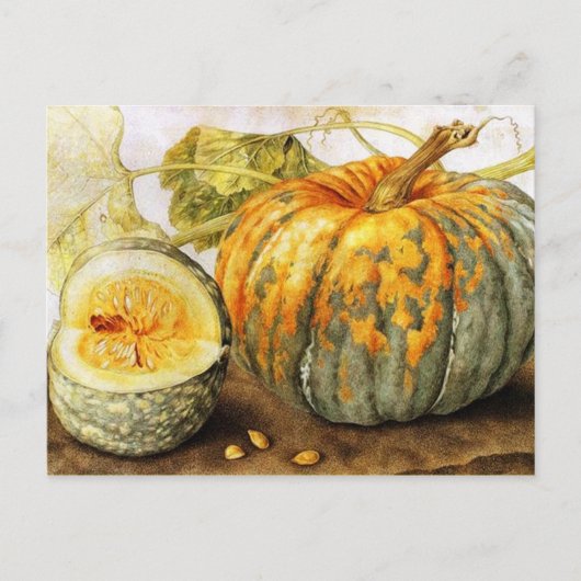 Carte Postale FRUITS DE SAISON / Halloween CITROUILLE, Thanksgiv (Devant)