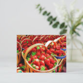 Carte postale Fruits et aliments 4 (Debout devant)