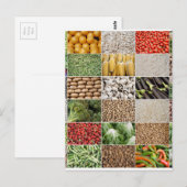 Carte Postale Fruits et légumes (Devant / Derrière)
