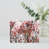 Carte Postale Fruits rouges ou fraises (Debout devant)