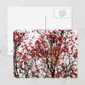 Carte Postale Fruits rouges ou fraises (Devant / Derrière)