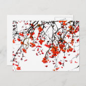 Carte Postale Fruits rouges ou fraises (Devant / Derrière)