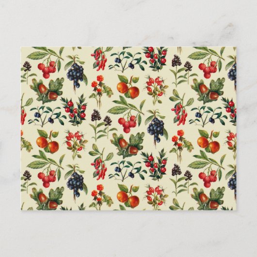 Carte Postale Fruits Sauvages De La Campagne (Devant)