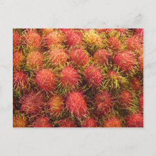 Carte Postale Fruits tropicaux Rambutan