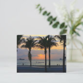 Carte Postale Ft Lauderdale (Debout devant)