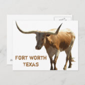 Carte Postale Ft Worth Longhorn (Devant / Derrière)