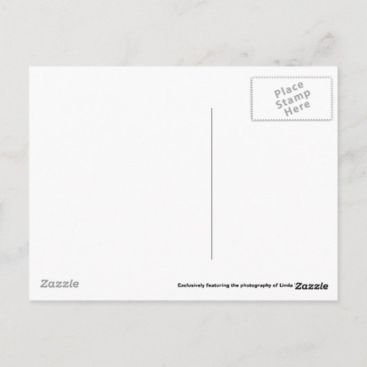 Carte Postale FtWorth07-22 007 (Dos)