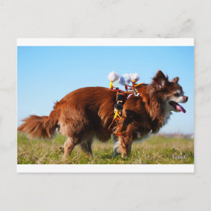 Carte Postale Fubby qui font du cheval sur leur petit ami chien.