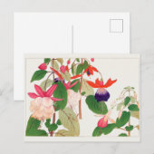 Carte Postale Fuchsia par Tanigami Konan (Devant / Derrière)