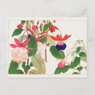 Carte Postale Fuchsia par Tanigami Konan
