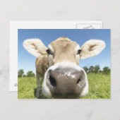 Carte Postale Fuessen, Bavière, Allemagne (Devant / Derrière)