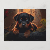 Carte postale Fulfilled Pups (Devant)