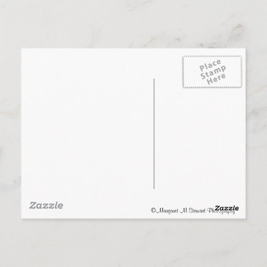 Carte Postale Fulmer Falls (Dos)