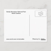 Carte Postale Fumé Mountain Stream (Dos)