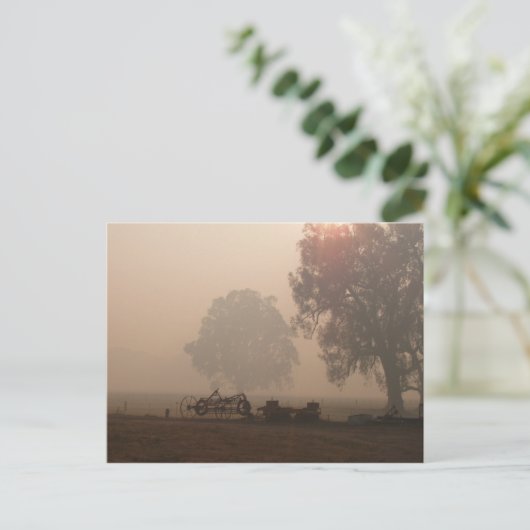 Carte postale Fumée de brousse (Debout devant)