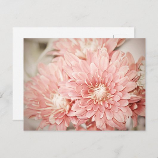 Carte Postale Fumeurs blush (Devant / Derrière)