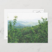 Carte Postale fumoirs à vue lointaine #70 (Devant / Derrière)