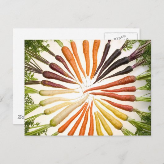 Carte Postale Fun Colorful Carrots (Devant / Derrière)