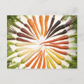 Carte Postale Fun Colorful Carrots (Devant)