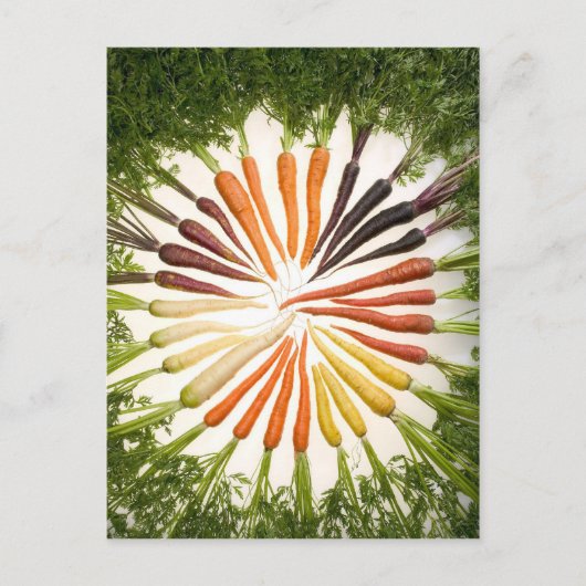 Carte Postale Fun Colorful Carrots (Devant)