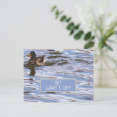 Carte postale Fun Duck (Debout devant)