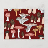 Carte Postale Fun Fungi Motif de champignons (Devant)