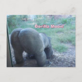 Carte postale Fun Gorilla Moon (Devant)