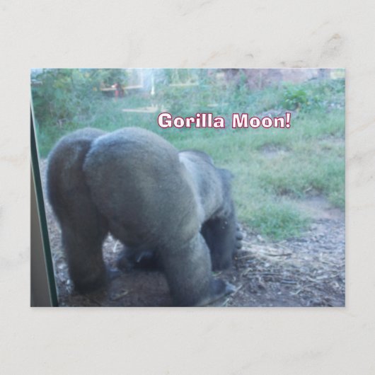 Carte postale Fun Gorilla Moon (Devant)