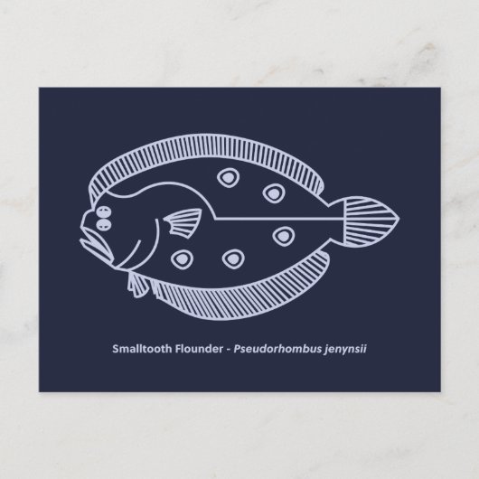 Carte Postale Fun Poisson Fun Flounder dans le violet clair sur  (Devant)