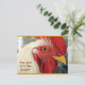 Carte Postale Fun Rooster "Hey, Look! C'est le Don (Debout devant)