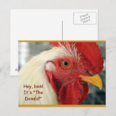 Carte Postale Fun Rooster "Hey, Look! C'est le Don (Devant / Derrière)
