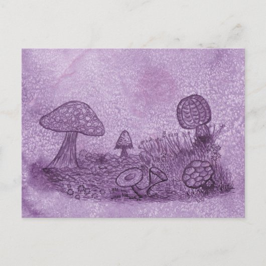 Carte Postale Fungi Meadow (Devant)