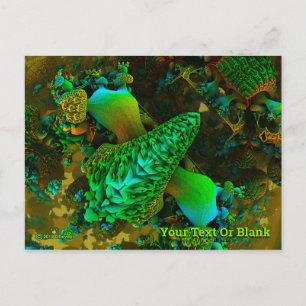 Carte Postale Fungus