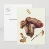 Carte Postale Fungus (Devant / Derrière)