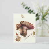 Carte Postale Fungus (Debout devant)