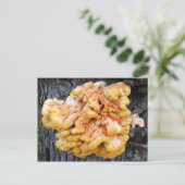 Carte Postale Fungus orange (Debout devant)