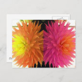 Carte Postale Funky Bright Orange & Rose Spike Flowers (Devant / Derrière)