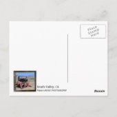 Carte postale Funky Death Valley ! (Dos)